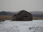 pic_03924.jpg