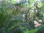 pic_03934.jpg