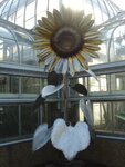 pic_03938.jpg