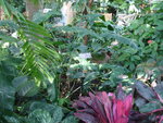 pic_03942.jpg