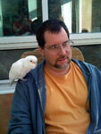 pic_03945.jpg