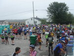 Seagull Century