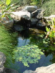 pic_04032.jpg