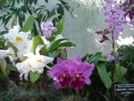pic_04048.jpg