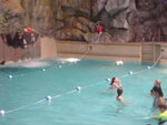 pic_04099.jpg