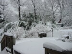 pic_04124.jpg