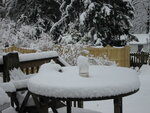 pic_04125.jpg