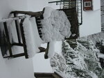 pic_04126.jpg