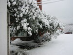 pic_04128.jpg