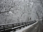 pic_04133.jpg