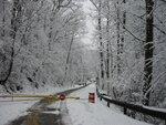 pic_04134.jpg