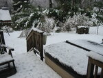 pic_04136.jpg