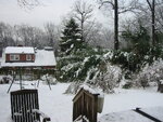 pic_04137.jpg
