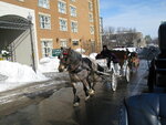 pic_12595.jpg