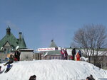 pic_12625.jpg