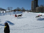 pic_12662.jpg