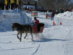 pic_12665.jpg
