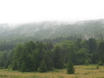 pic_04182.jpg