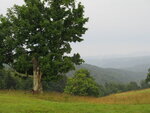 pic_04186.jpg