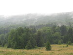 pic_04199.jpg