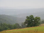 pic_04204.jpg