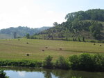 pic_04222.jpg