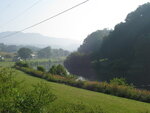 pic_04231.jpg