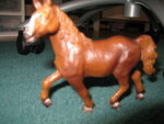 pic_04306.jpg