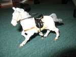 pic_04308.jpg