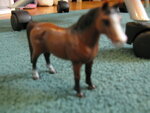 pic_04317.jpg