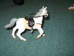pic_04322.jpg