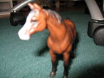 pic_04328.jpg