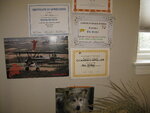 pic_04329.jpg