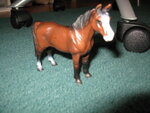pic_04336.jpg