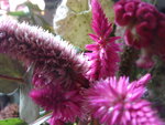 pic_04344.jpg