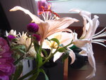 pic_04345.jpg