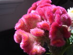 pic_04347.jpg