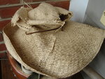 pic_04349.jpg