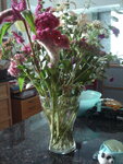 pic_04352.jpg