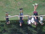 Dcbia 2008