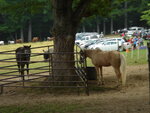 pic_04426.jpg