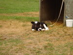 pic_04430.jpg