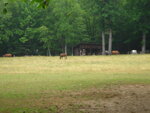pic_04431.jpg