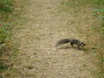 pic_04440.jpg