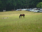 pic_04446.jpg