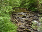 pic_04448.jpg