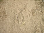 pic_04453.jpg