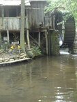 pic_04454.jpg