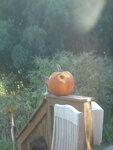 pic_04493.jpg
