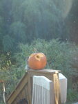 pic_04494.jpg